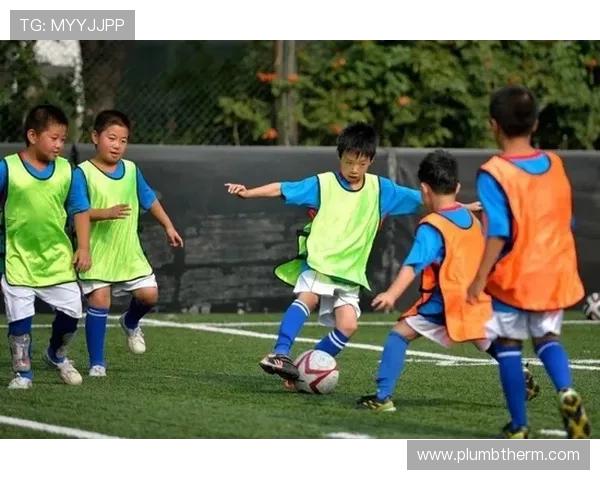 足球运动员的成长之路与赛场上的辉煌成就探索