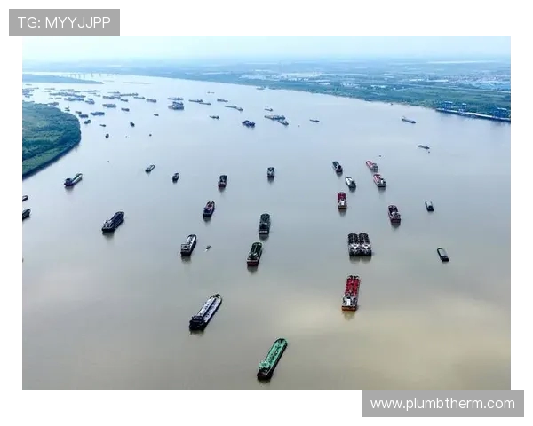 以武汉三镇为核心打造长江中游城市群高质量发展新引擎