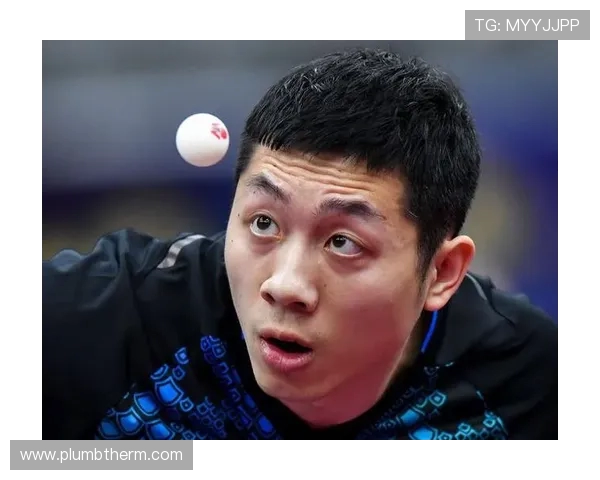 南京足球队在总决赛积分榜上以100分稳居第一名展现强劲实力