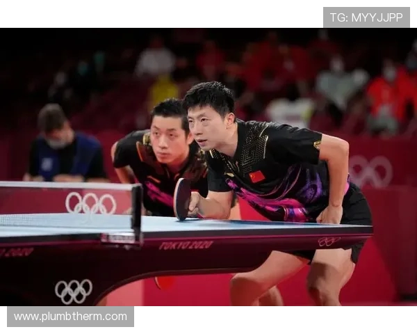 深圳乒乓球队实力强劲最新乒乓球TOP10排行榜揭晓 深圳乒乓球队实力强劲最新乒乓球TOP10排行榜揭晓