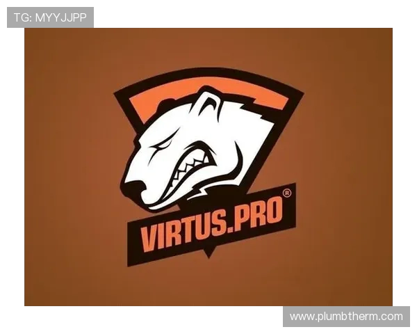 热议DOTA2RNG战队如何在短时间内实现战略与战术的全面革新