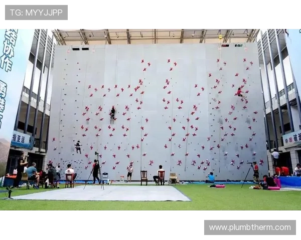 赛后分析：北京攀岩队与南京攀岩队的竞技状态与表现对比