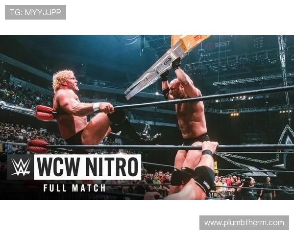 安德森席瓦尔与霍尔的巅峰对决谁能赢得最终胜利 安德森席瓦尔与霍尔的巅峰对决谁能赢得最终胜利