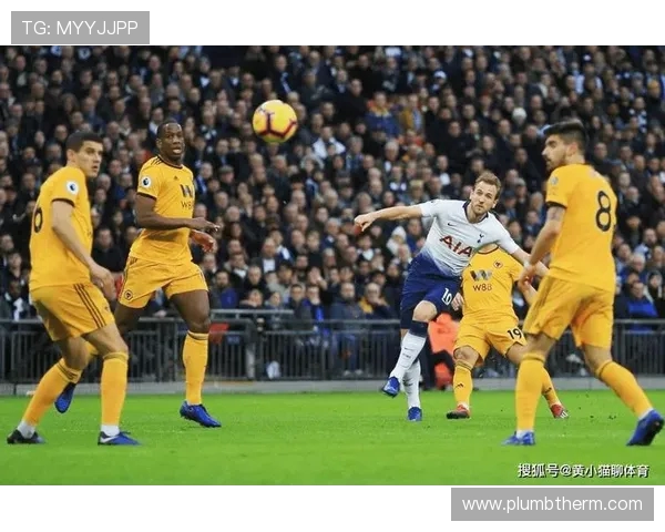 布拉迪对阵狼队的精彩对决分析与赛前预测 布拉迪对阵狼队的精彩对决分析与赛前预测